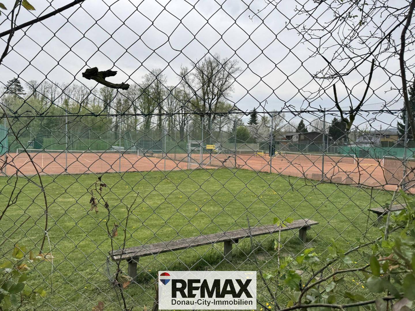 Kleingarten in Korneuburg, 298 m²