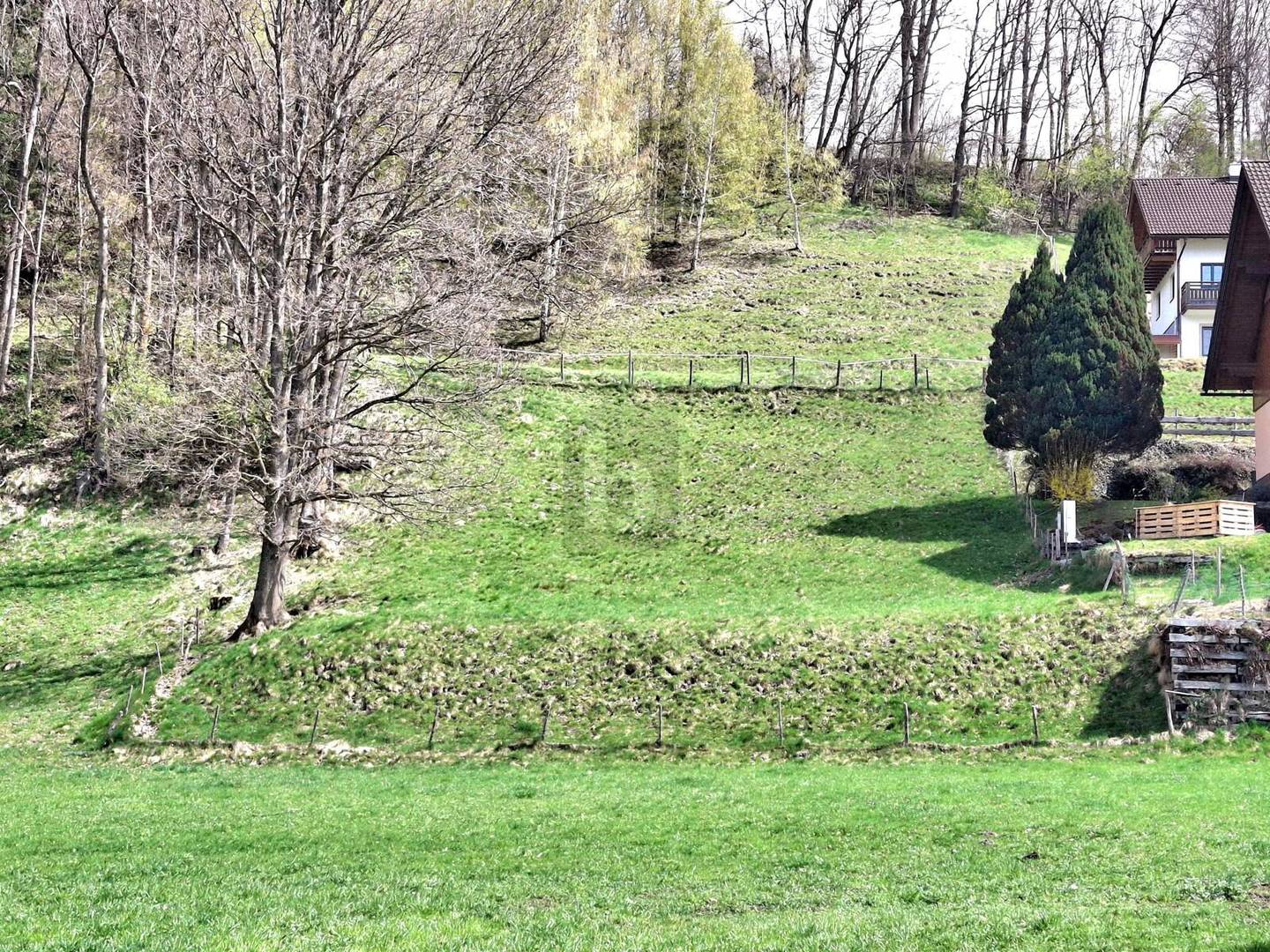 Wohnung mit unverbaubarem Panoramablick am Waldrand