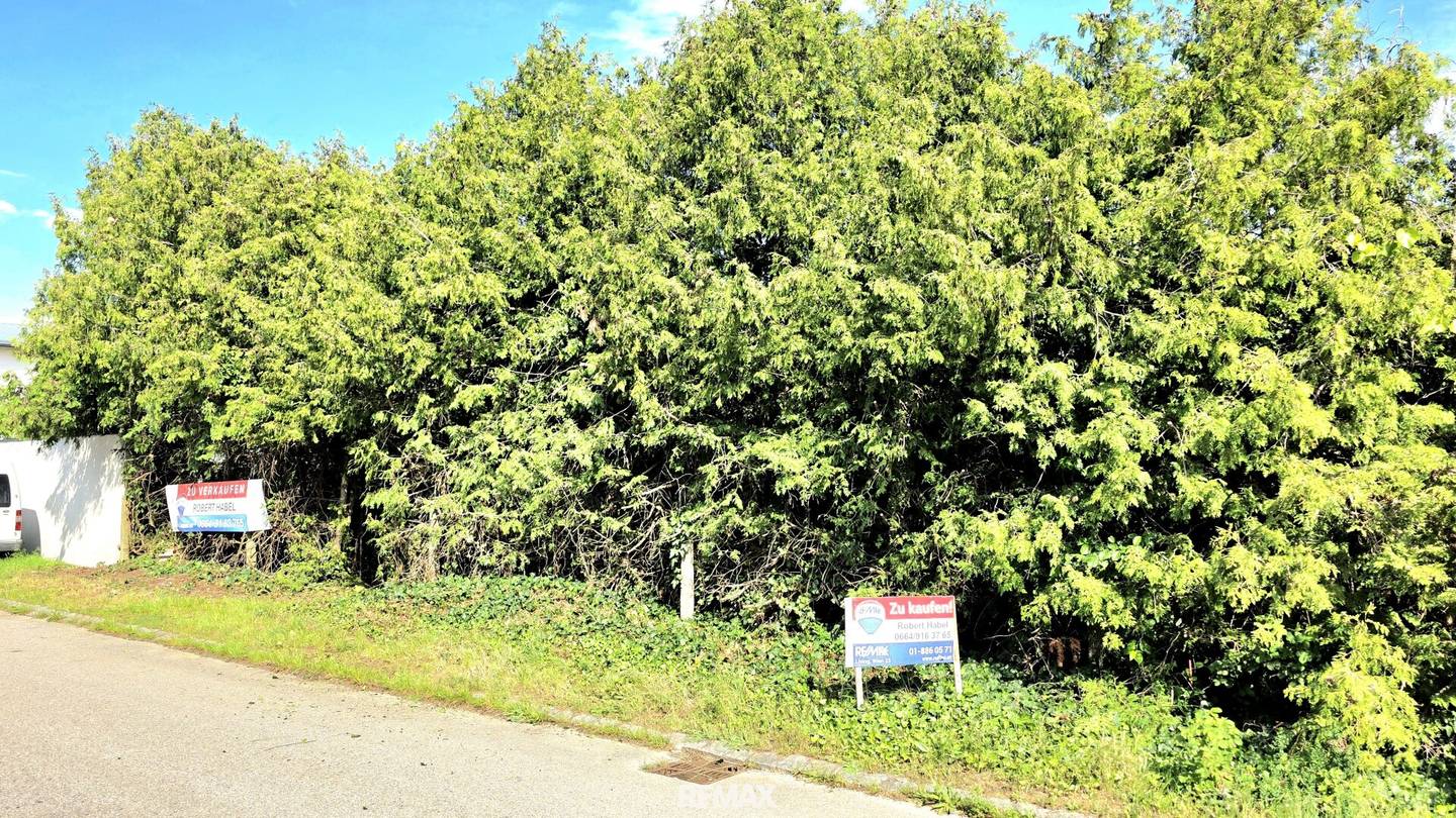 Baugrundstück in Golser Weinbergen