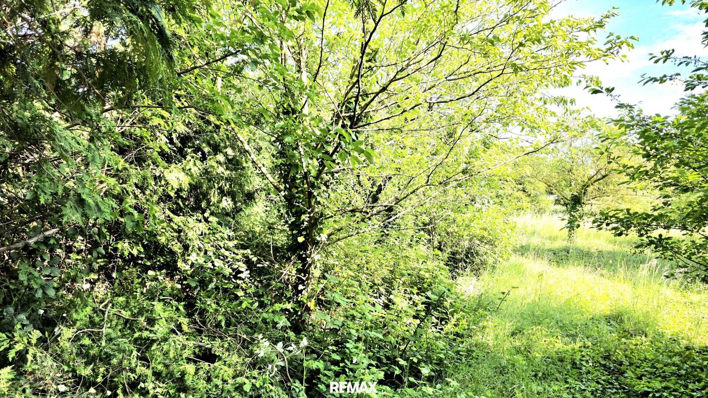 Baugrundstück in Golser Weinbergen