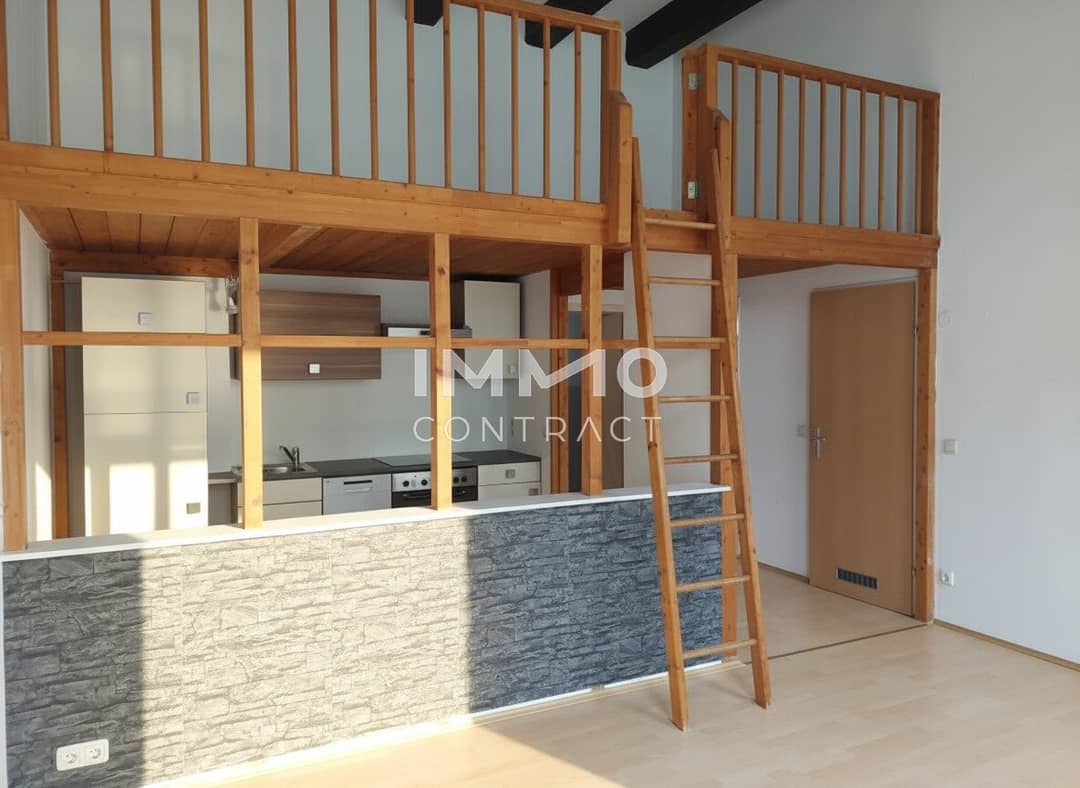 2-Room Ground Floor Apt Steyr Wehrgraben