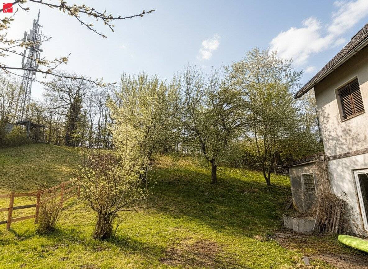 Großes Haus mit Garten in Feistritz