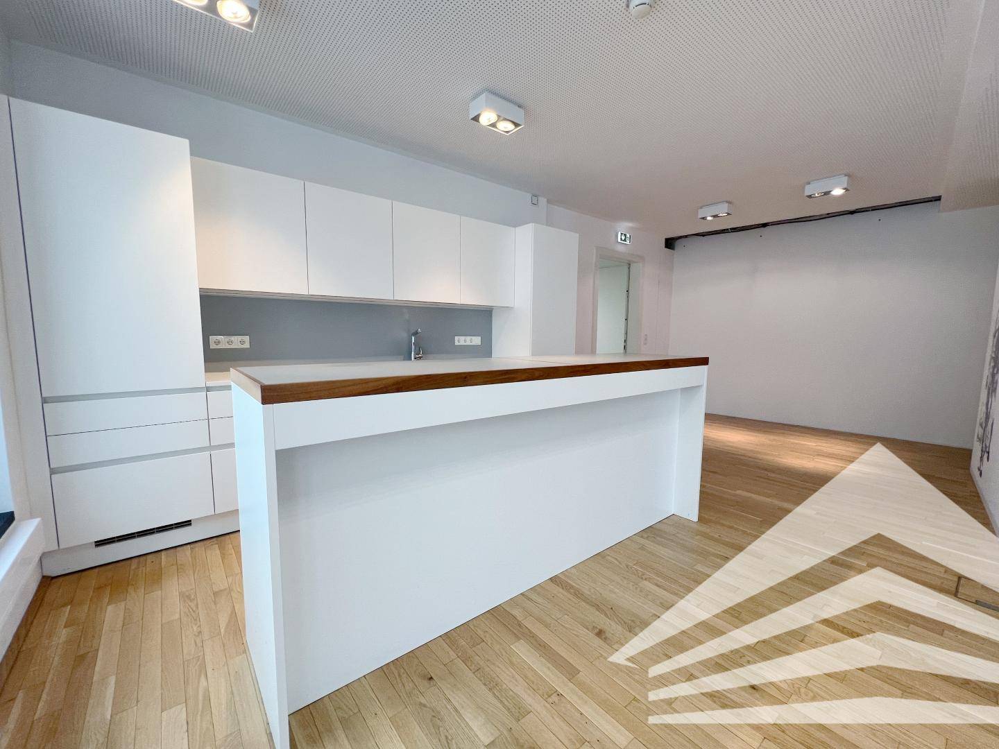 Office 245m² Promenadengalerien Linz