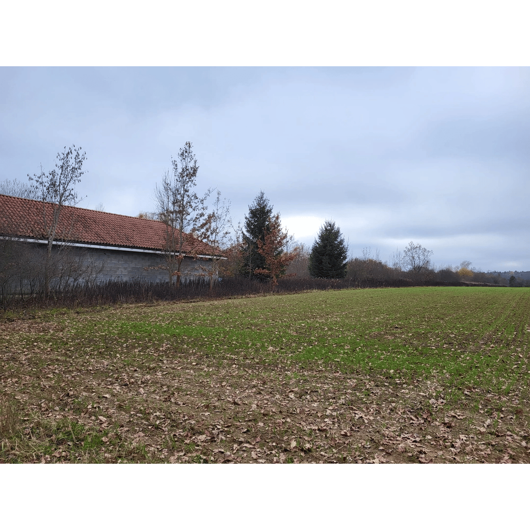 Office Space 118m² Oberwart