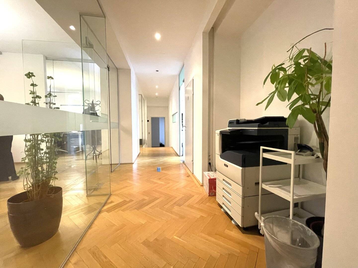 Büro Altbau Wieden 231m²