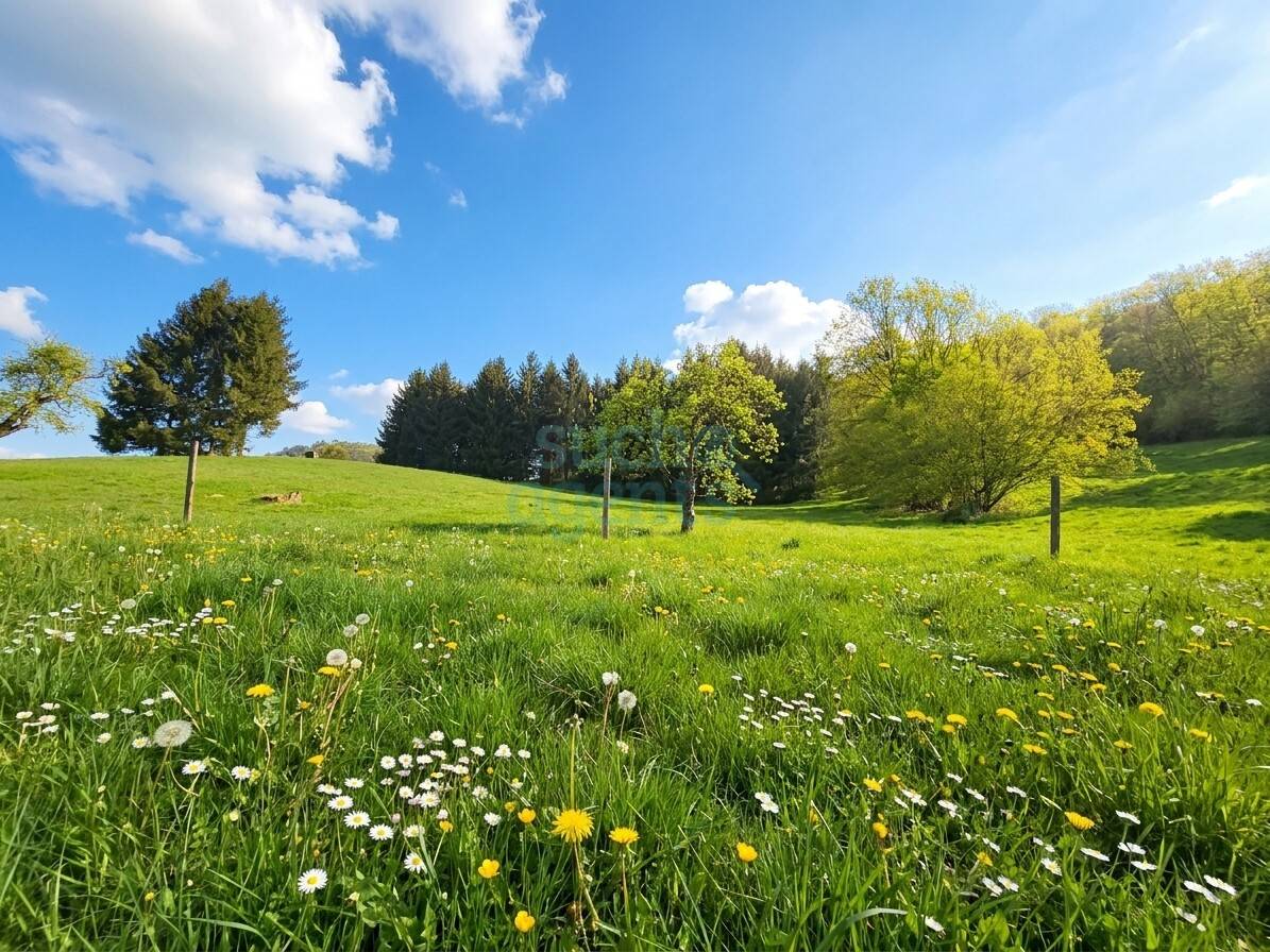 Mehrfamilienhaus Linz mit 9000m² Grund