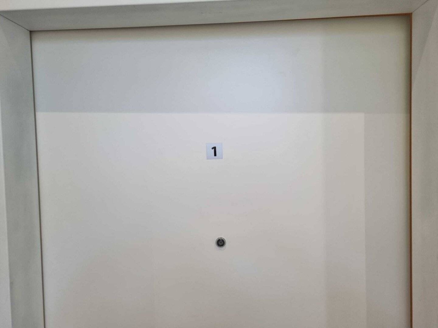Renovated Altbau Apartment Ground Floor