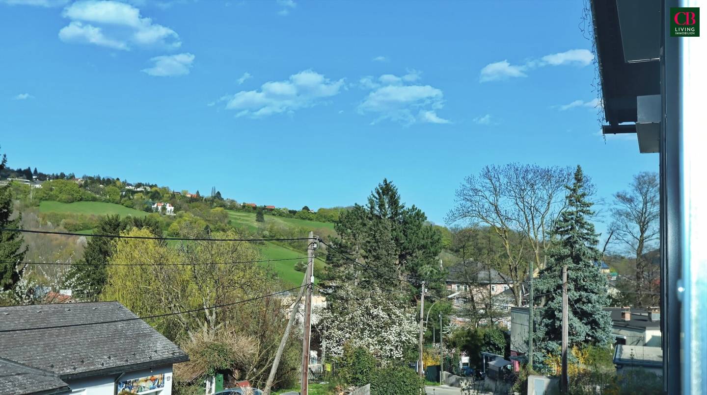 Renovated family home forest edge Klosterneuburg