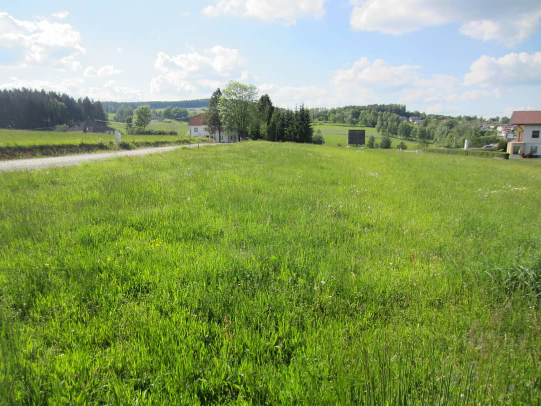 Building land in Windhaag bei Freistadt