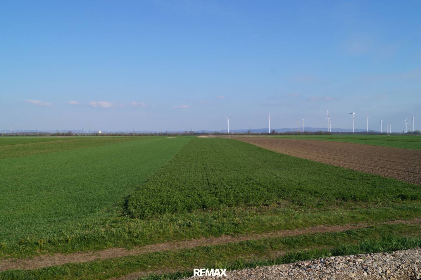 803 m² building land in Oberwaltersdorf
