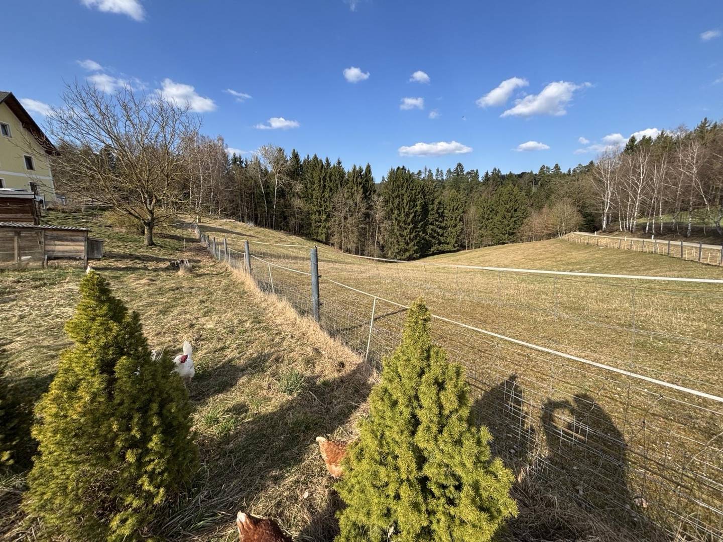 Large Rural & Forestry Estate 113.965 m²
