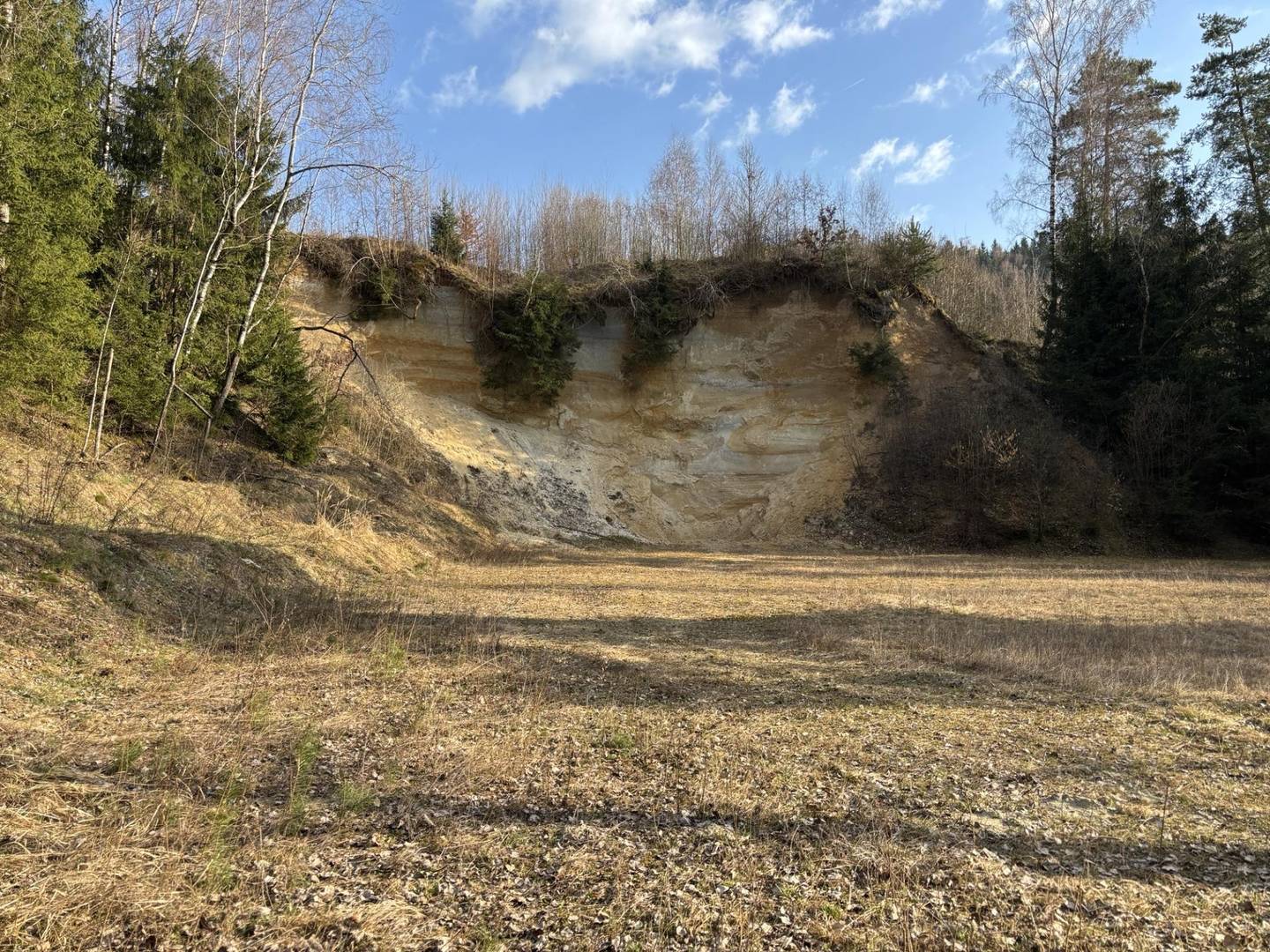 Large Rural & Forestry Estate 113.965 m²
