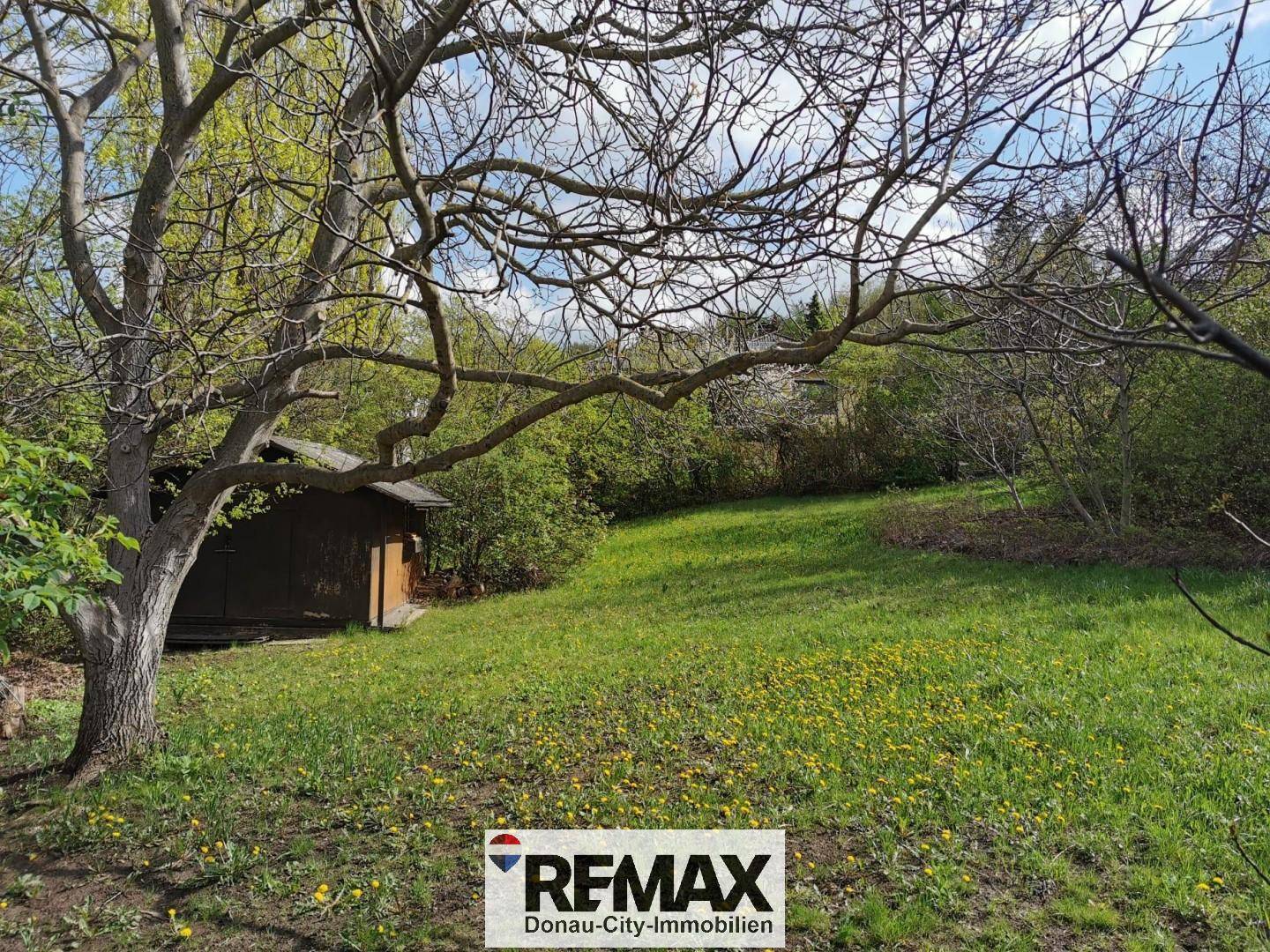 Baugrund Riederberg 1054 m²
