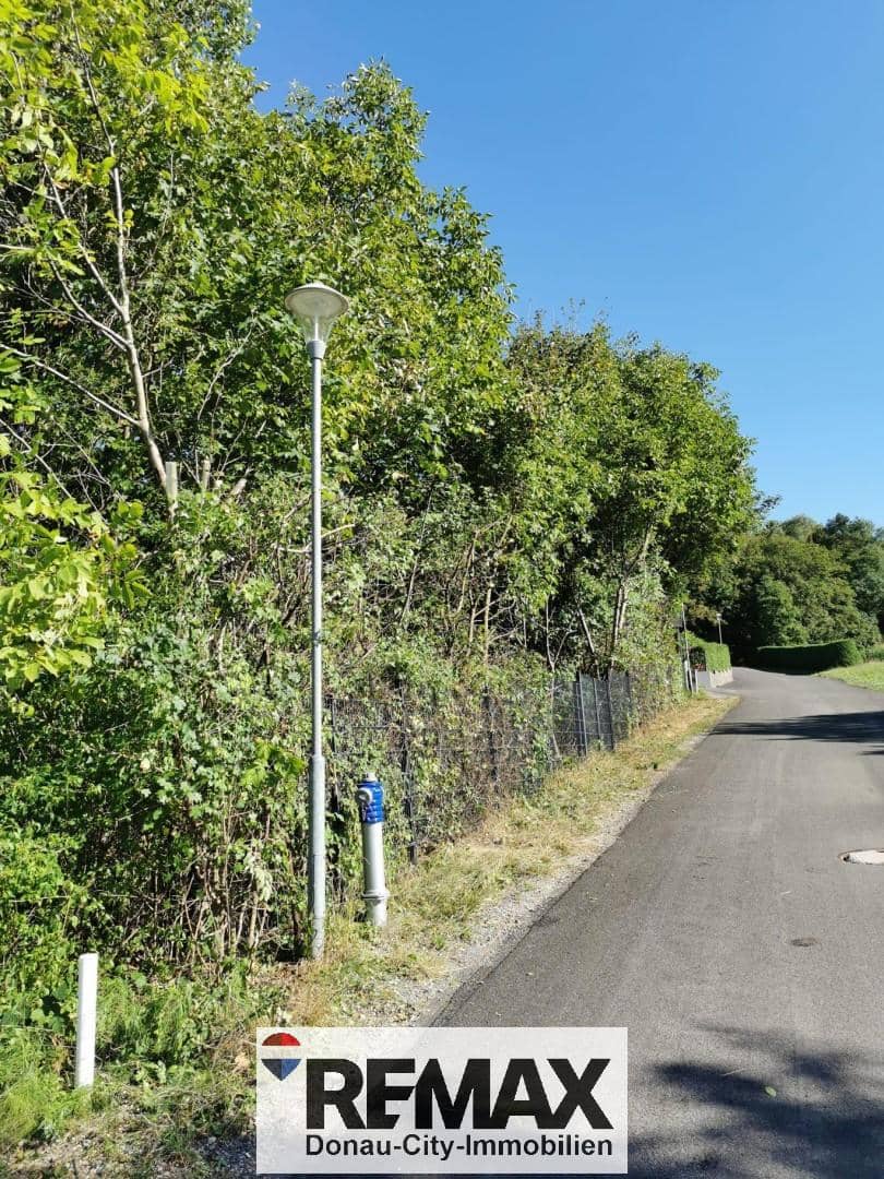 Baugrund Riederberg 1054 m²