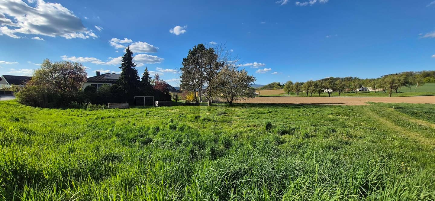 Sonnige Familienwohnung in ruhiger naturnaher Lage