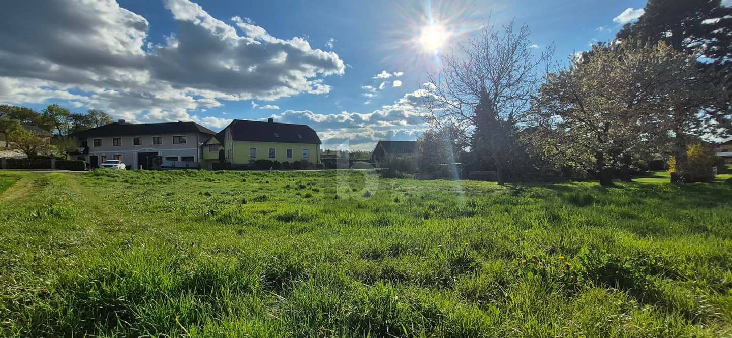 Sonnige Familienwohnung in ruhiger naturnaher Lage