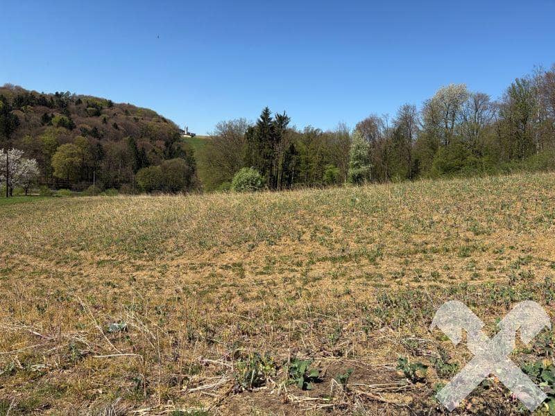 Ackerflächen 22.096 m² bei Gnas