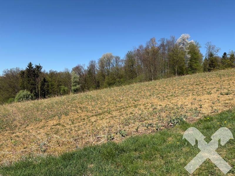 Ackerflächen 22.096 m² bei Gnas