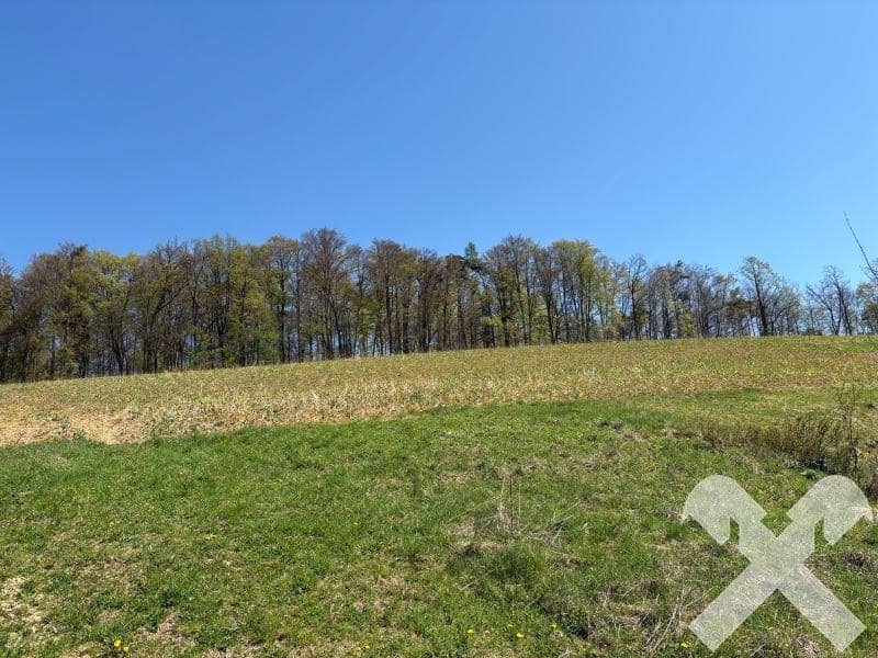 Ackerflächen 22.096 m² bei Gnas