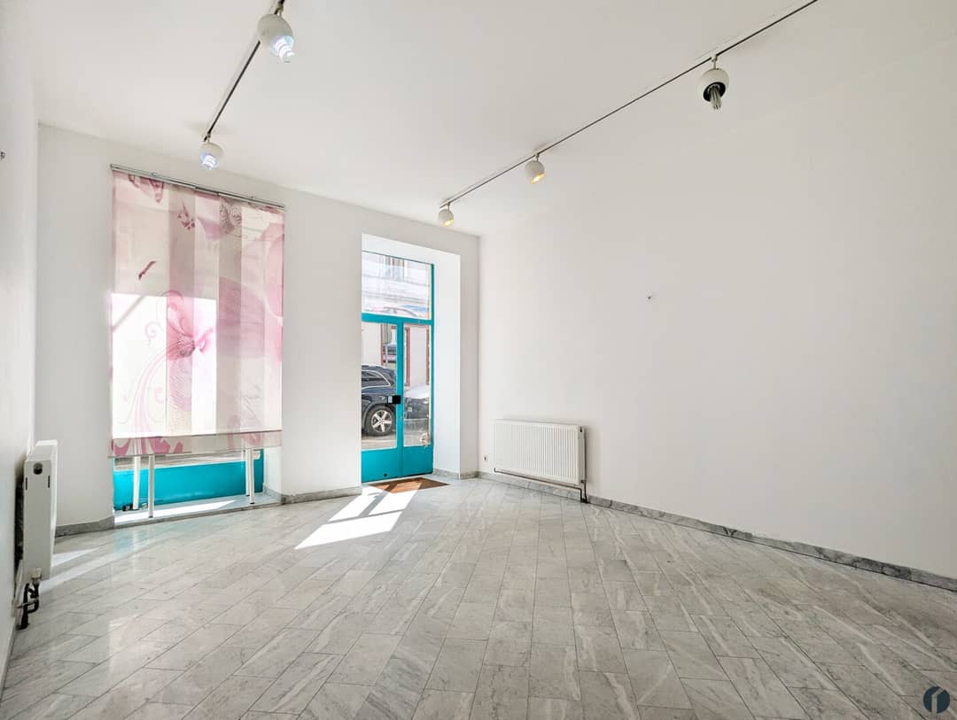 Barrier-Free Office GrFl Wien 18