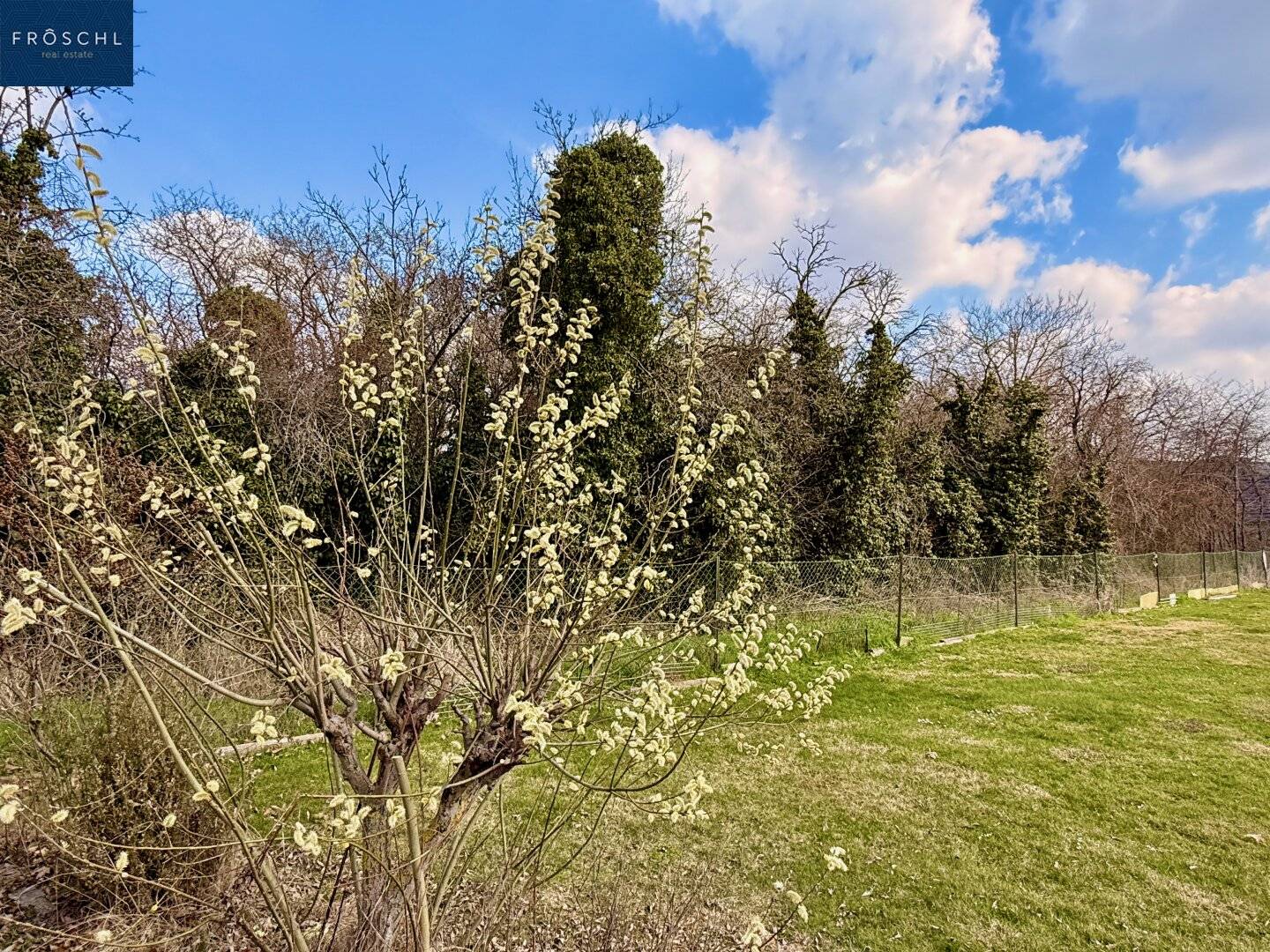 Baugrund in Altenburg bei Horn