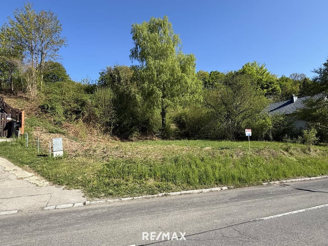 Large plot 3,321 m² Hintersdorf