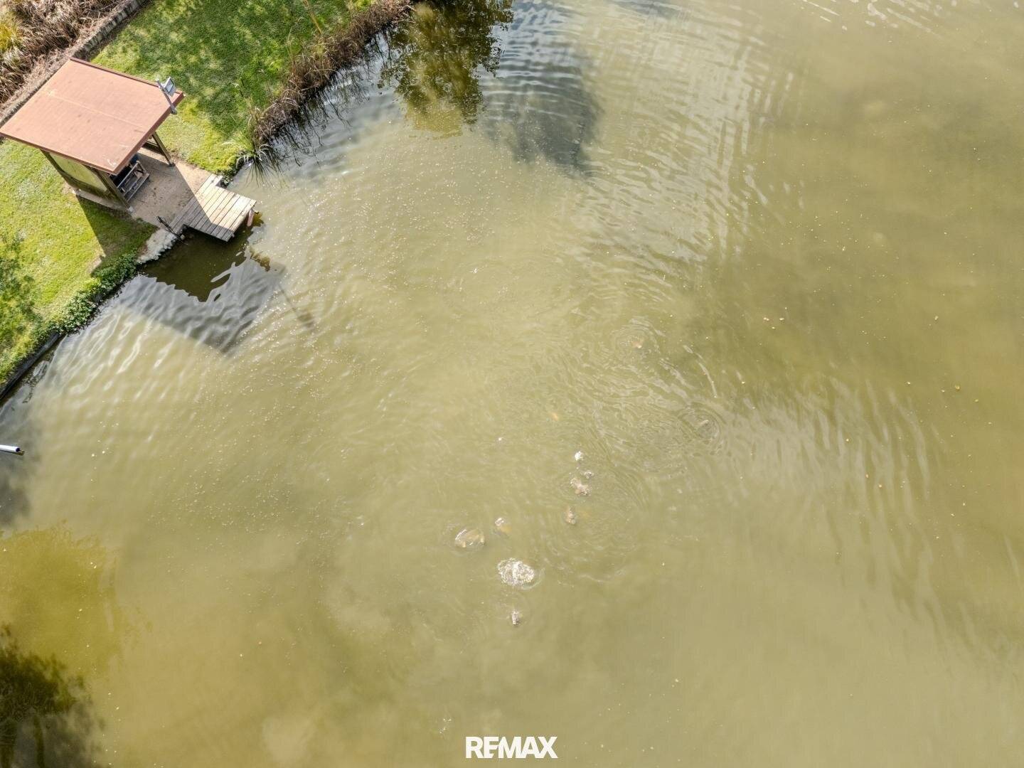 Fischteichanlage mit PV & Fischbestand