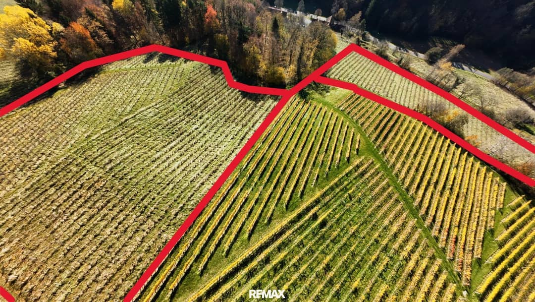 Vineyard Kranach Gamlitz 2ha