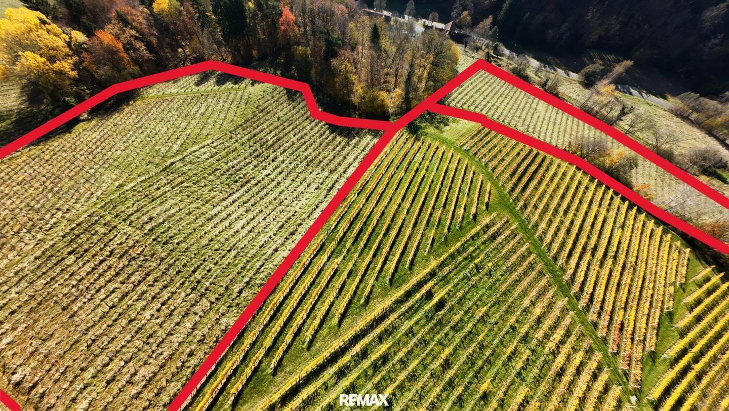 Weingarten Kranach Gamlitz 2ha