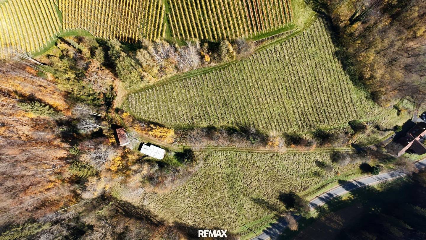 Scheibengrundstück mit Altbestand in Kranach