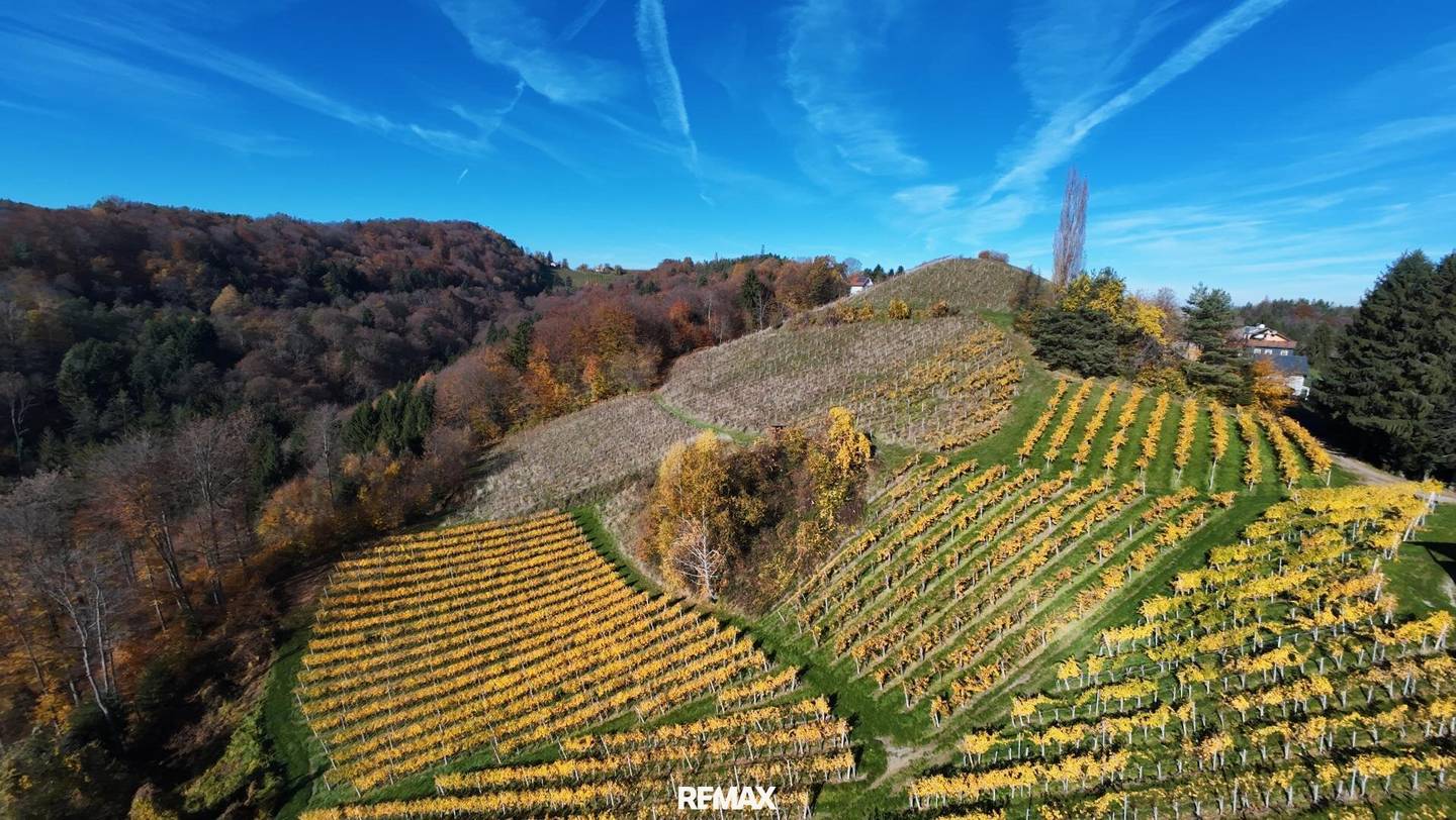 Weingarten Kranach, Gamlitz 23.410m²