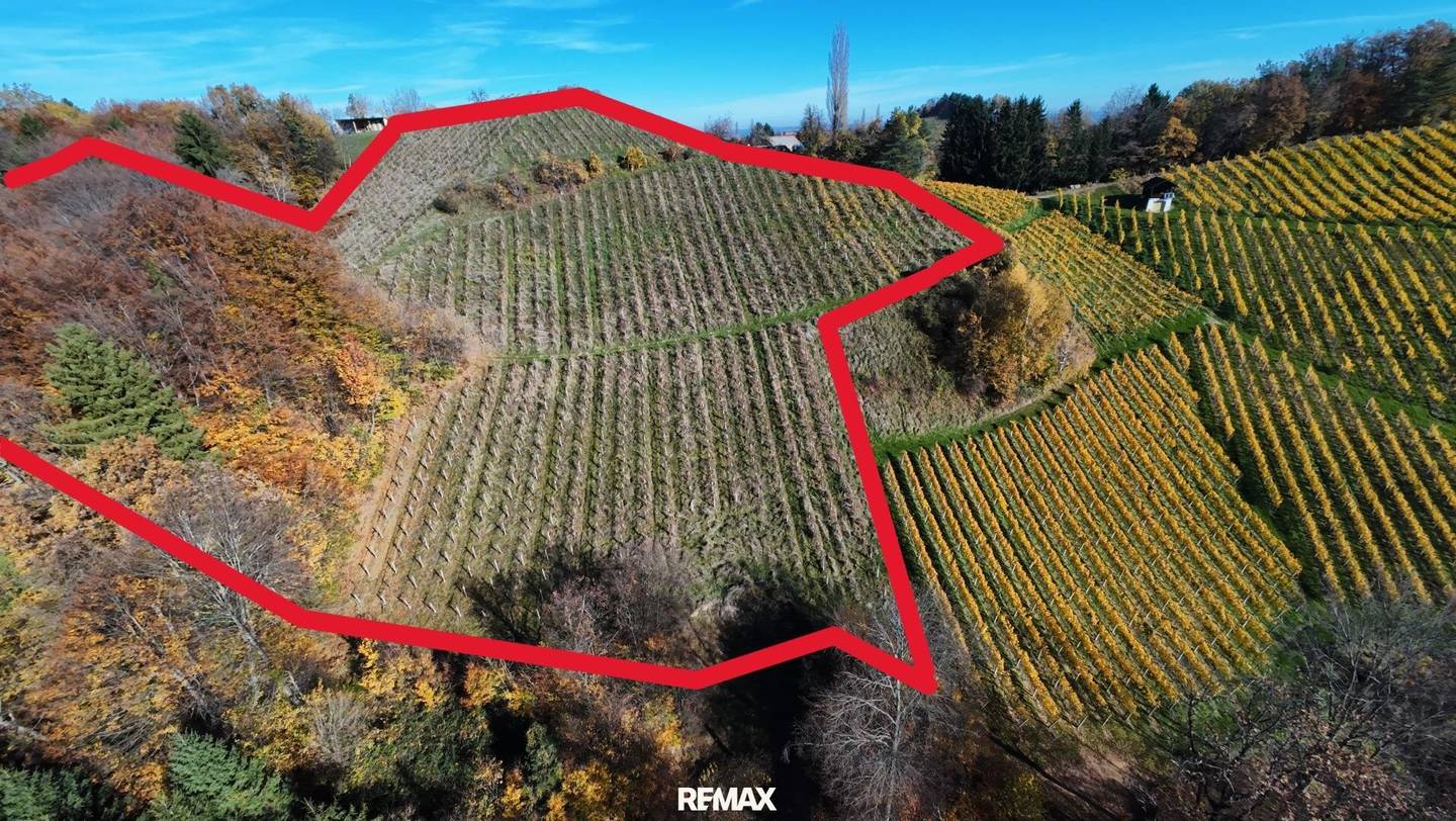 Weingarten Kranach, Gamlitz 23.410m²