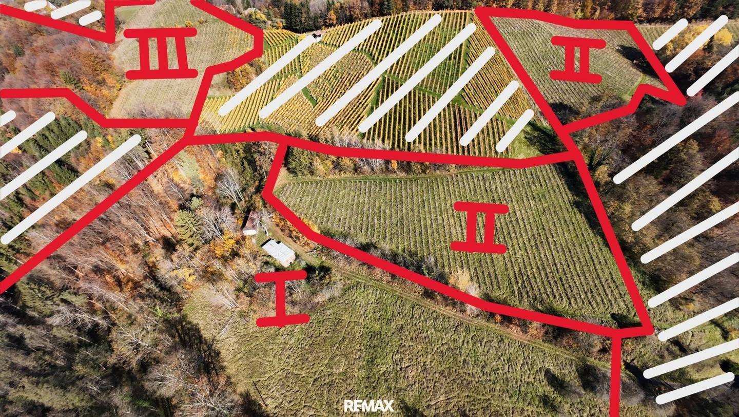 Preisreduktion !! Weingarten mit Landwirtschaft und Altbestand in Kranach, Gemeinde Gamlitz