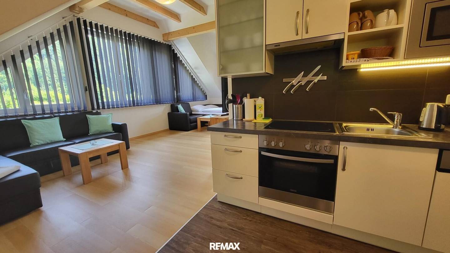 Penthouse mit ruhiger Grünlage und Loserblick