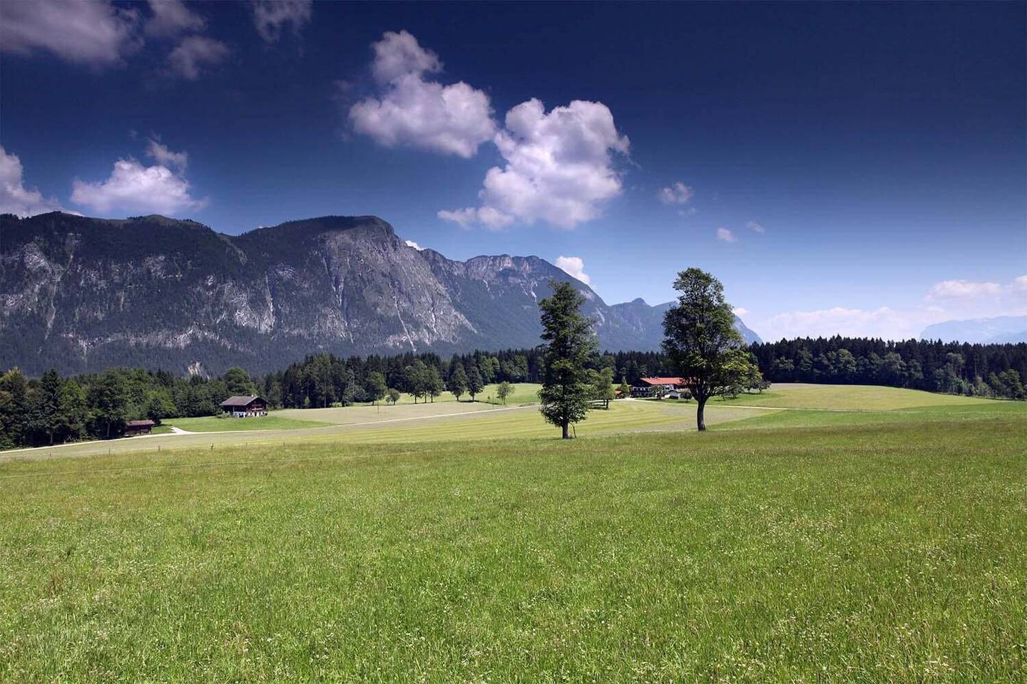Einfamilienhaus in Angath, 170m²