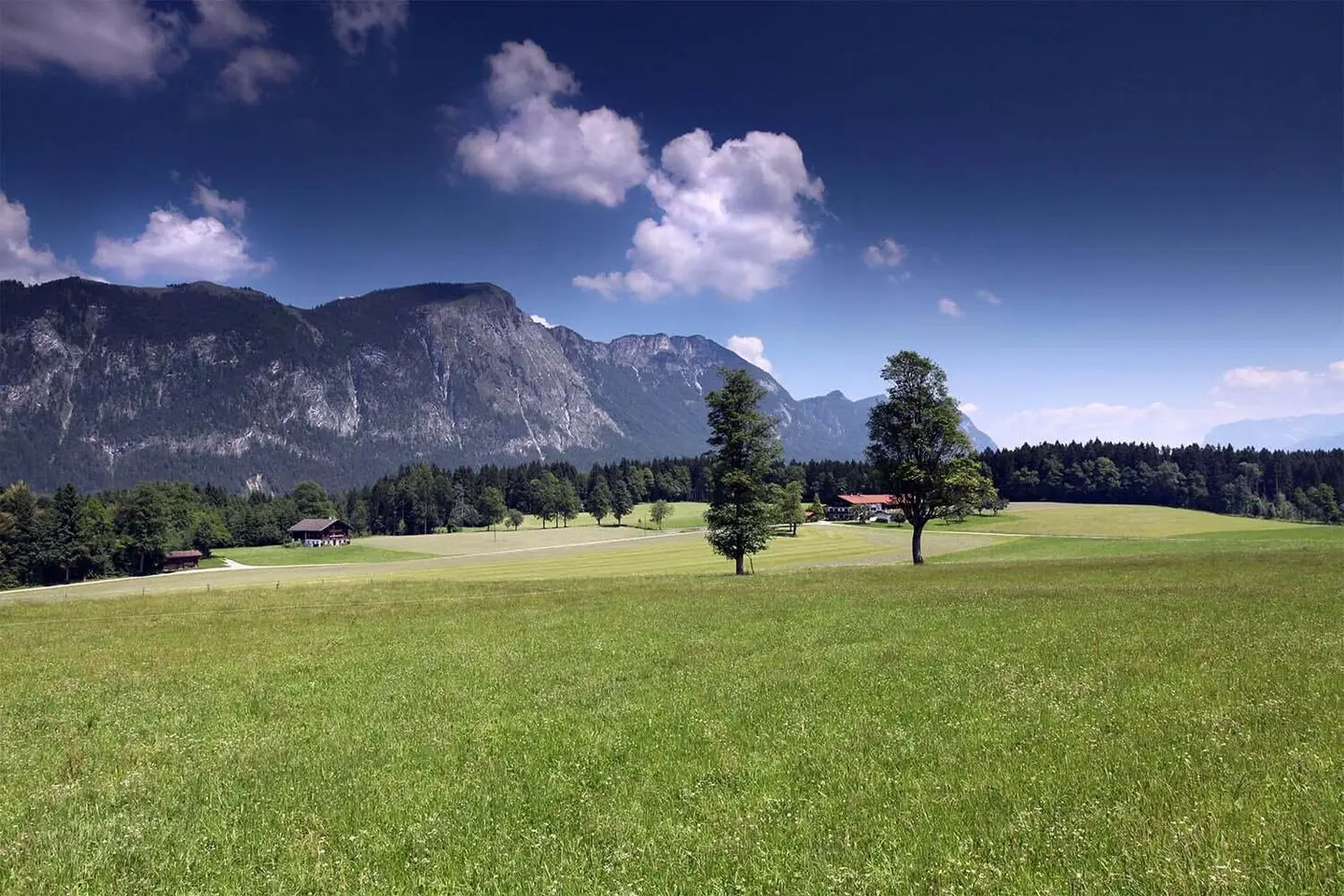 Einfamilienhaus in Angath, 170m²