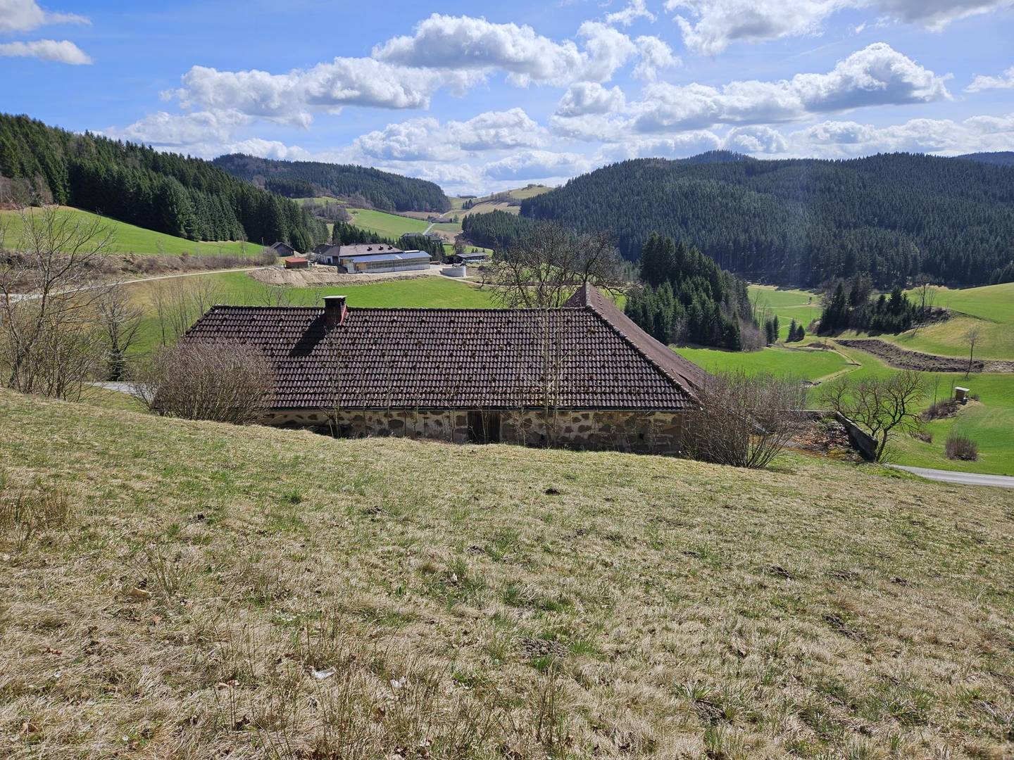 Sacherl mit 4,9 ha Grund in Nadelbach