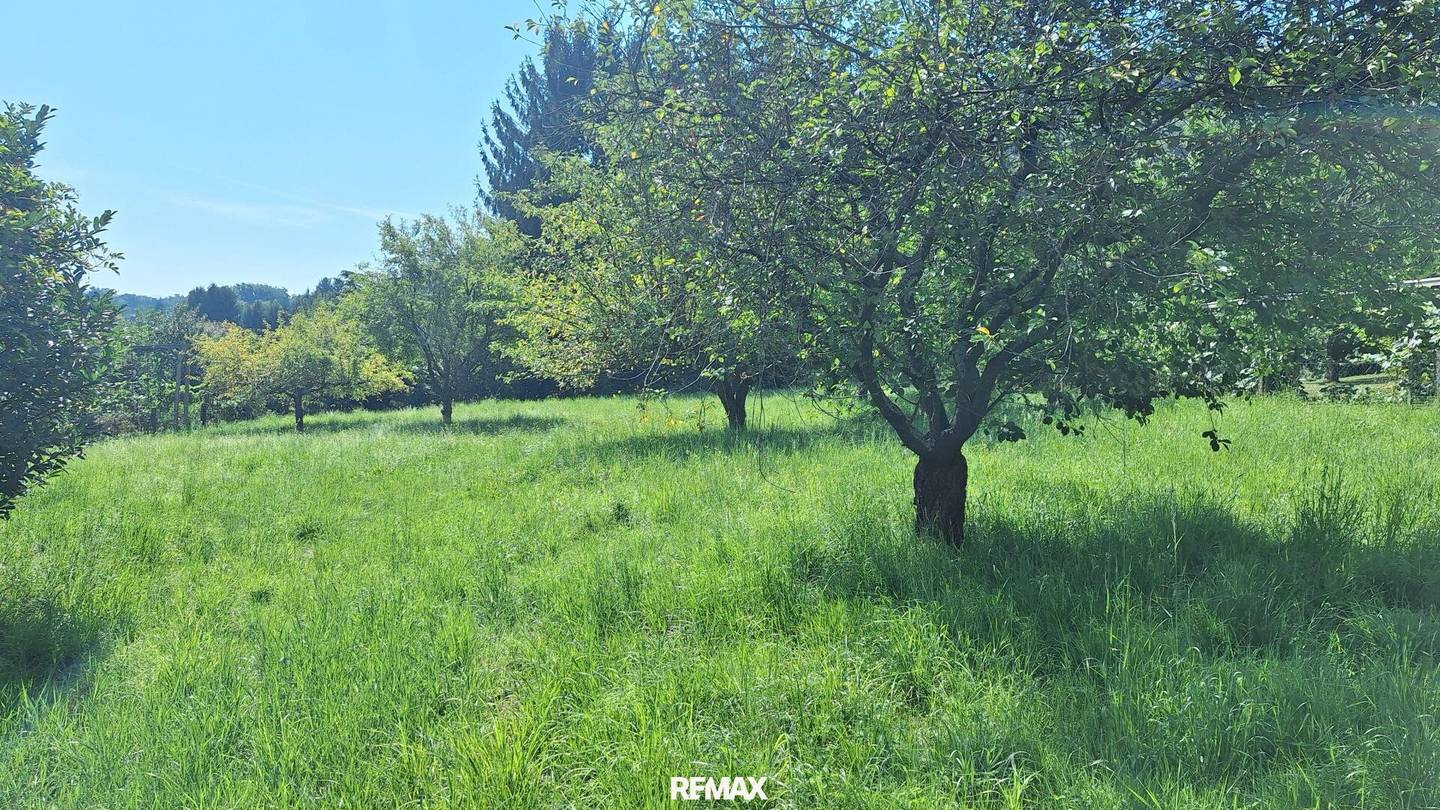 „Ihr Logenplatz in Wildon – Baugrundstück mit Aussicht, Sonne & Privatsphäre“