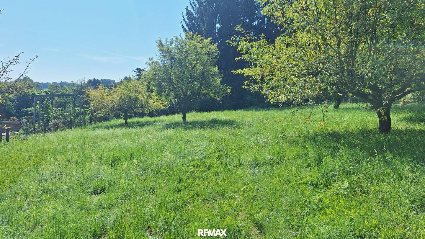 „Ihr Logenplatz in Wildon – Baugrundstück mit Aussicht, Sonne & Privatsphäre“