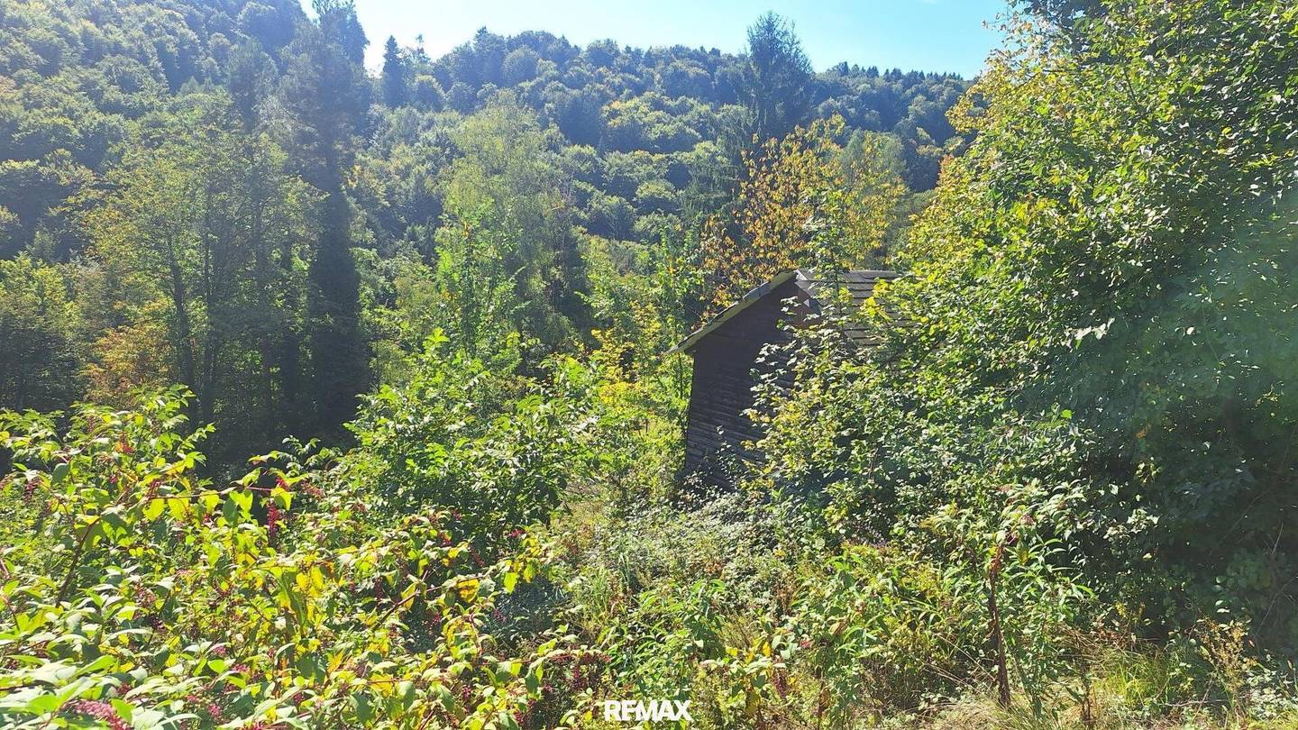 Traumhaftes Baugrundstück in Kranachberg bei Gamlitz – Ihr Platz an der Sonne