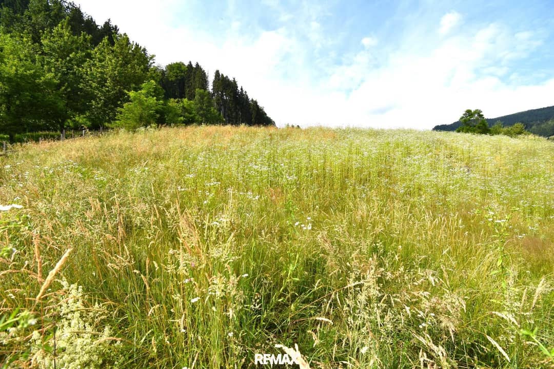 Building land near Feldkirchen, 800 m²