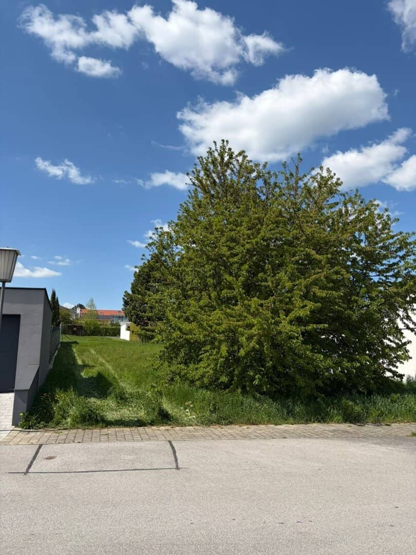 700 m² Grundstück in Breitenbrunn