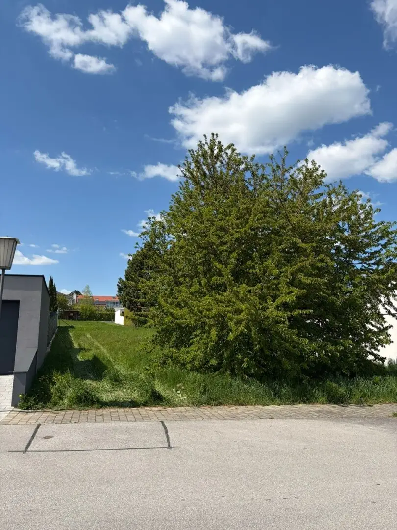 700 m² Grundstück in Breitenbrunn