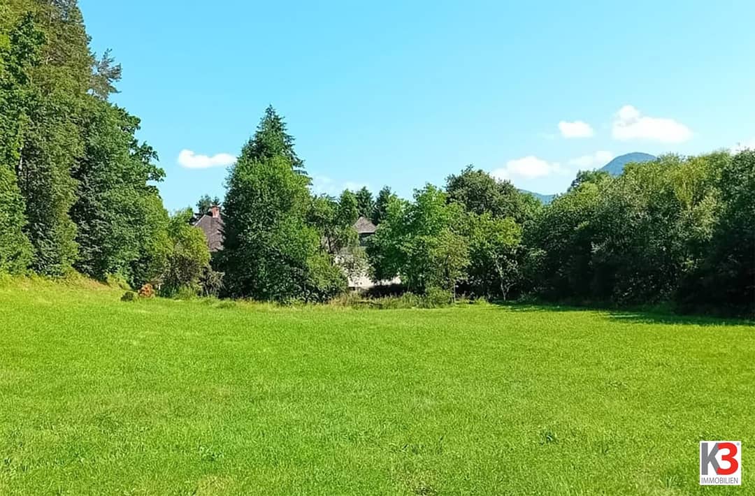 Historic Estate Bleiburg 350m²