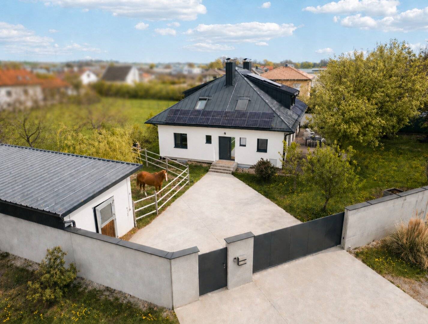 A House, a Little Monkey and a Horse - Here You Make the World the Way You Like It