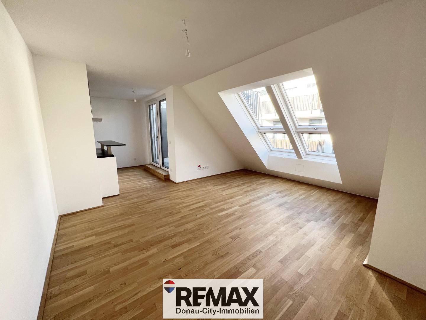 Apartment with rooftop terrace near Inzersdorf