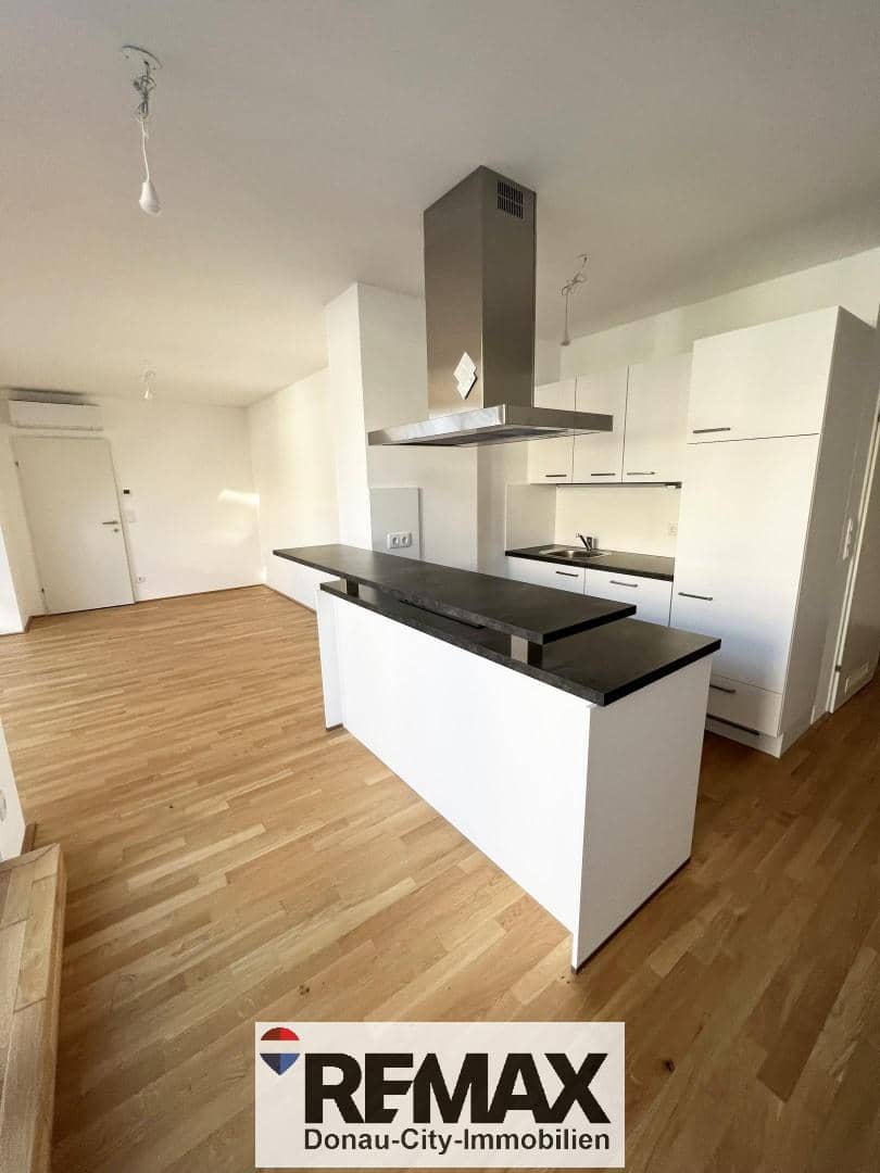 Apartment with rooftop terrace near Inzersdorf