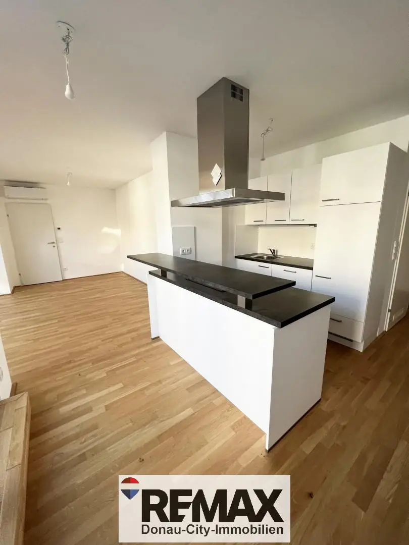 Apartment with rooftop terrace near Inzersdorf