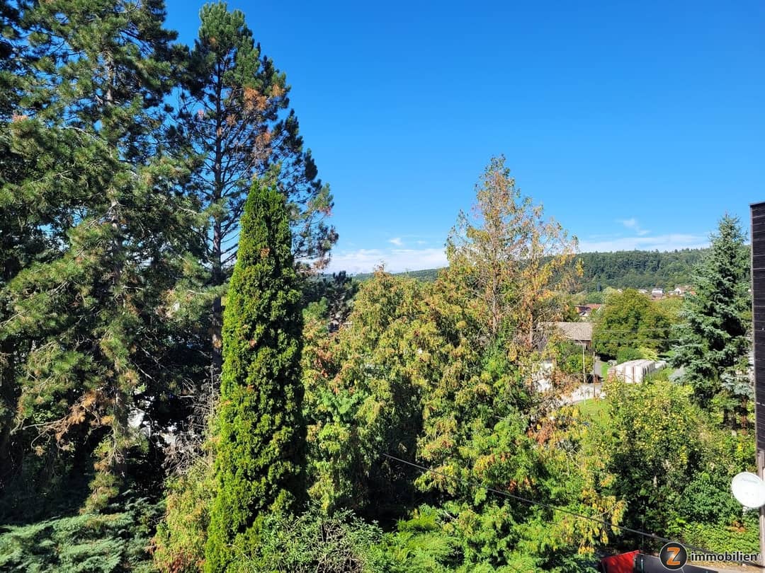 Ausblick ins Grüne