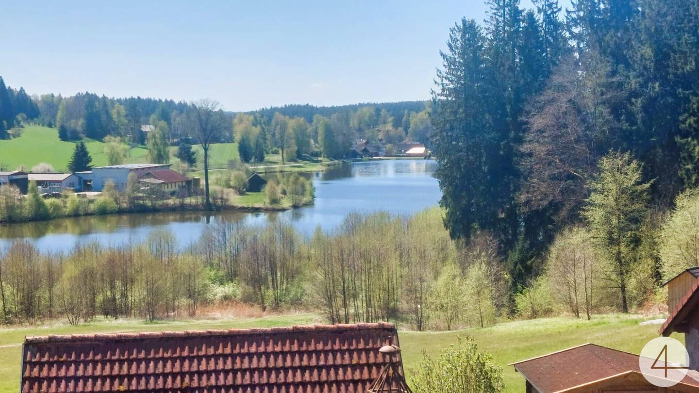 Landhaus mit Seeblick in Litschau
